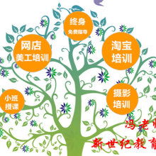 東莞市茶山新世紀教育咨詢部 專業(yè)教育咨詢服務，助力學生全面發(fā)展